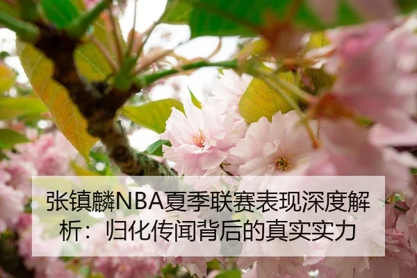 张镇麟NBA夏季联赛表现深度解析：归化传闻背后的真实实力