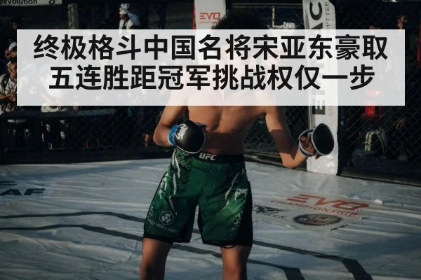 终极格斗中国名将宋亚东豪取五连胜距冠军挑战权仅一步